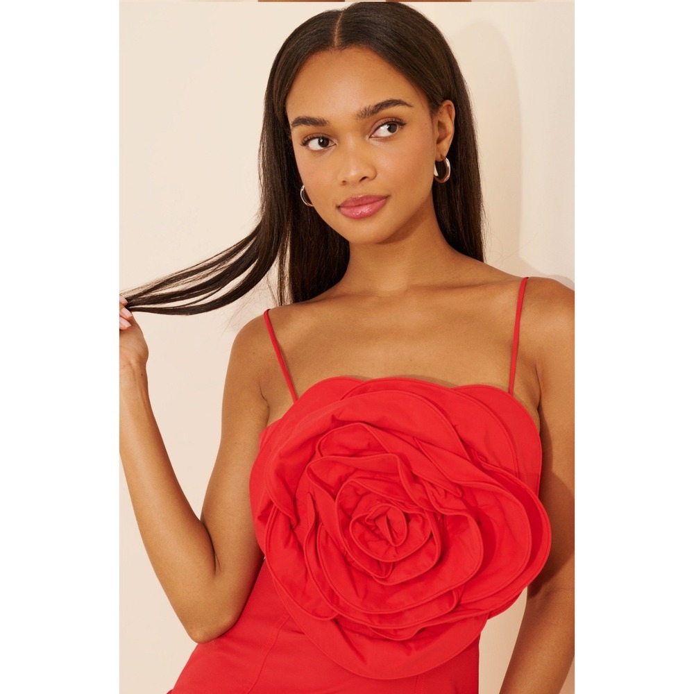 Farm Rio Rosette Balloon Mini Athropologie Dress Small Red 3D Floral Bubble Hem - Picture 3 of 14